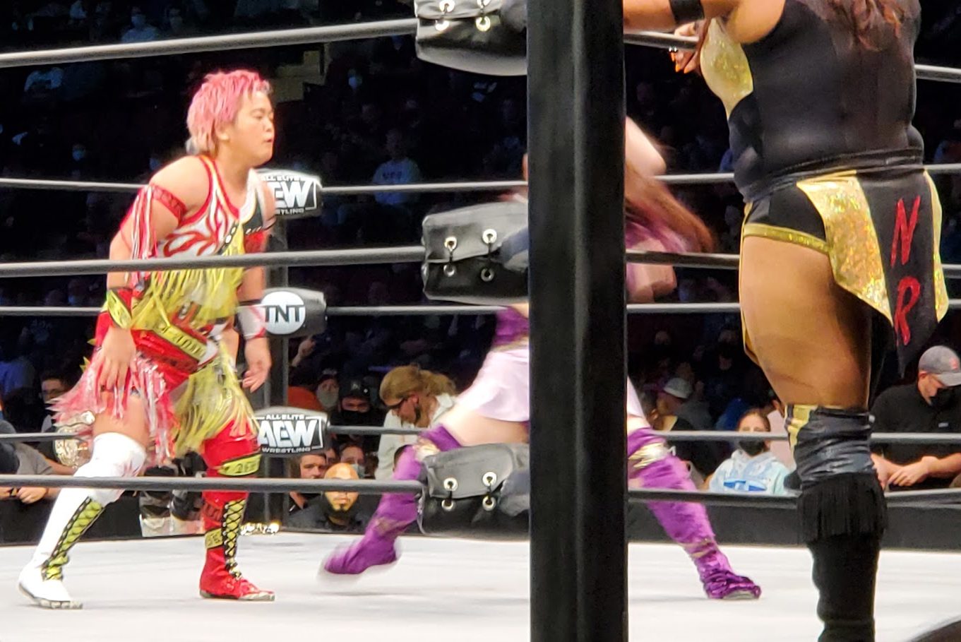 "Aniki" Ryo Mizunami fighting Emi Sakura as Nyla Rose watches.